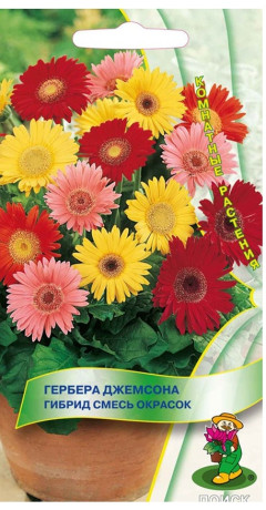 Гербера Джемсона смесь окрасок (поиск) 10шт