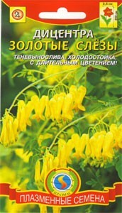 Дицентра Золотые слезы (плазмас) 3 шт