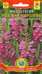 Физостегия Розовая королева (плазмас) 10шт