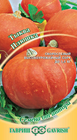 Тыква Плюшка (гавриш) 2,0 гр