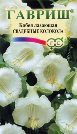 Кобея Свадебные колокола (гавриш) 5 шт