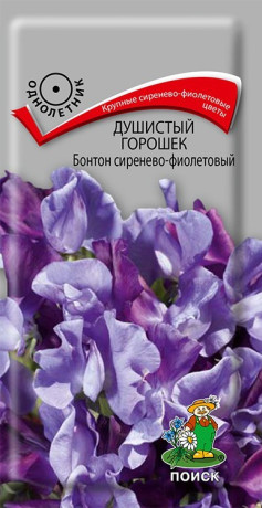 Душистый горошек Бонтон сиренево-фиолетовый (поиск) 1г