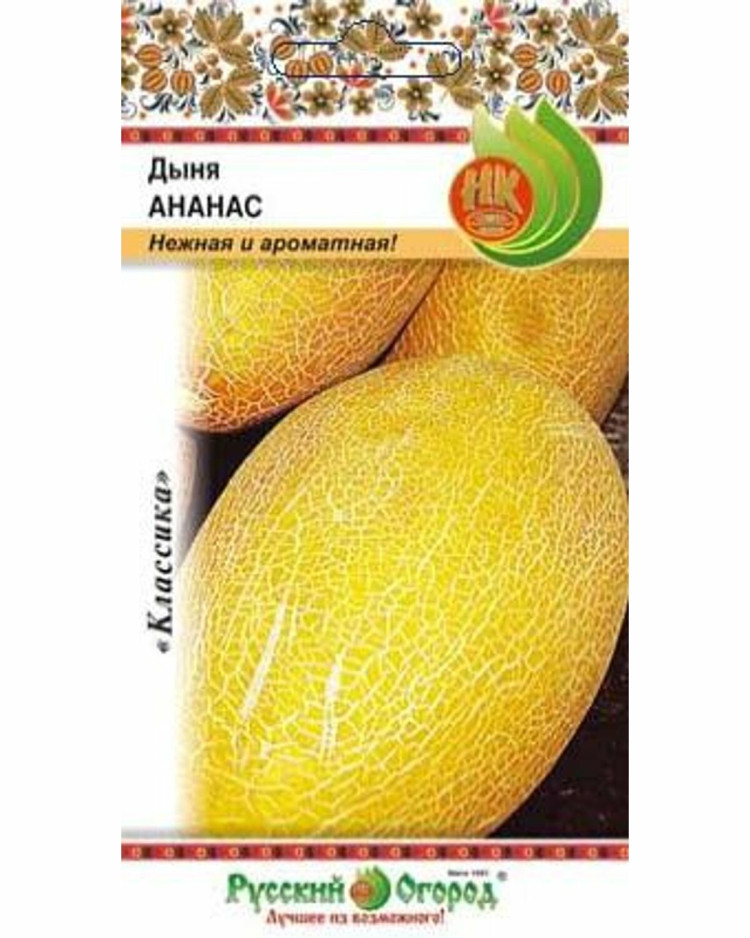ананасовая дыня как есть