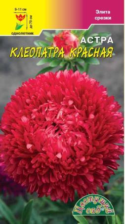 Астра Клеопатра красная (цветущий сад) 0,2 гр