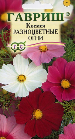 Космея Разноцветные огни (гавриш) 0,5 гр