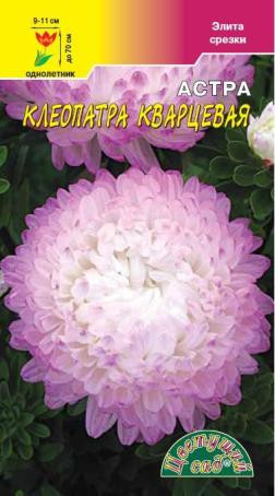 Астра Клеопатра кварцевая (цветущий сад) 0,2гр
