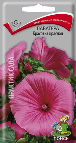 Лаватера Красотка красная (поиск) 0,3гр