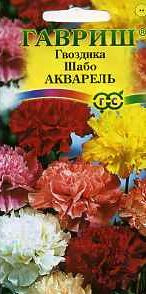 Гвоздика Шабо Акварель (гавриш) 0,05гр