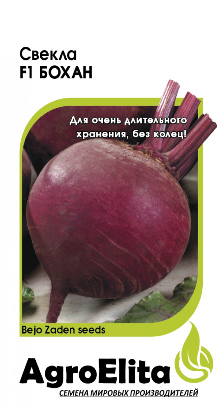Купить Семена Свеклы Столовой