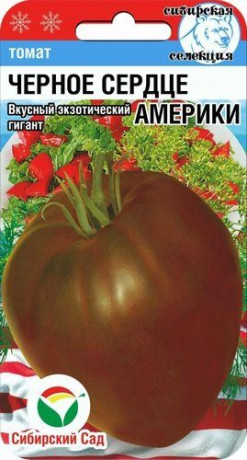 Томат Чёрное сердце Америки (сибирский сад) 20 шт