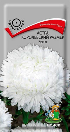 Астра Королевский размер белая (поиск) 0,1гр