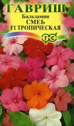 Бальзамин Тропический смесь F1 (гавриш) 4шт