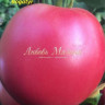 Томат Богатырь малиновый (мязина) 0,03 гр