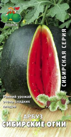 Арбуз Сибирские огни (поиск) 15шт