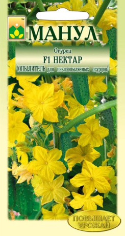 Огурец Нектар F1 (манул) 10шт