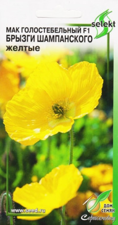Мак Брызги шампанского желтые F1 (дс) 10шт многолетний