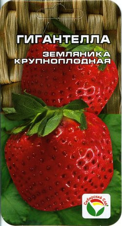 Земляника крупноплодная Гигантелла (сибирский сад) 10 шт