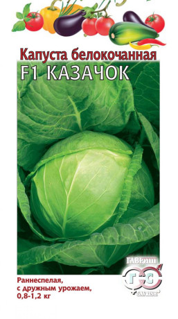 Капуста б/к Казачок F1 (г) 10 шт