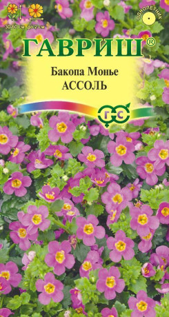 Бакопа Ассоль (гавриш) 3шт