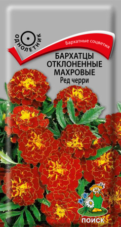 Бархатцы отклоненные махровые Ред черри (поиск) 0,3г