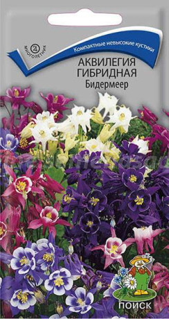 Аквилегия гибридная Бидермеер (поиск) 0,1г