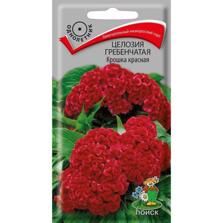 Целозия гребенчатая Крошка красная (поиск) 0,1гр