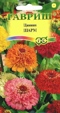 Цинния Шарм (гавриш) 0,3гр