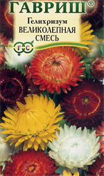 Гелихризум Великолепный,смесь (гавриш) 0,1гр