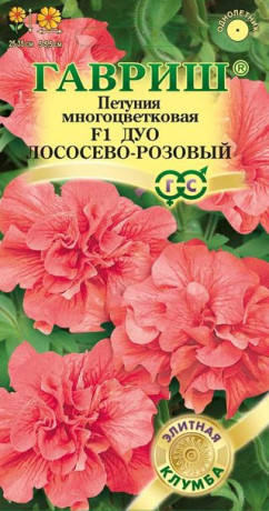 Петуния Дуо лососево-розовый F1 (гавриш) 5шт