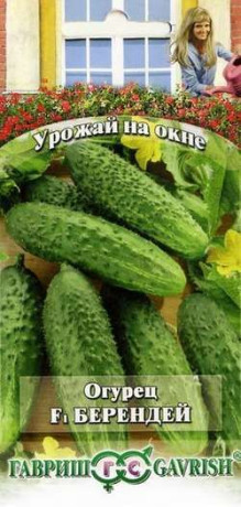 Огурец Берендей F1 (гавриш, урожай на окне) 10шт