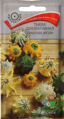 Тыква декоративная Шахрезада звезды (поиск) 5шт