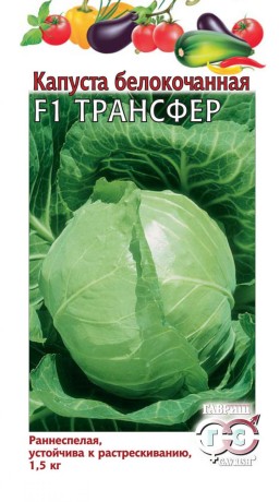 Капуста белокочанная Трансфер F1 (гавриш) 10 шт