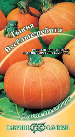 Тыква Веселые ребята (гавриш) 1,0гр