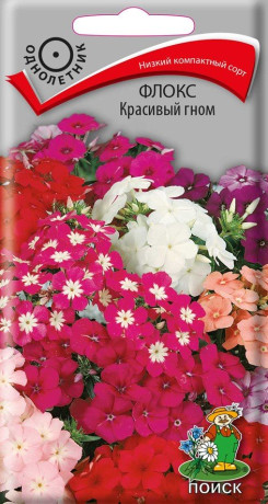 Флокс друммонда Красивый Гном (поиск) 0,2г