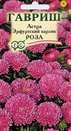 Астра Эрфуртский карлик Роза (гавриш) 0,3гр