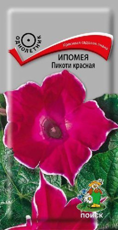 Ипомея Пикоти красная (поиск) 0,3гр