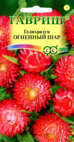 Гелихризум огненный шар (гавриш) 0,1гр