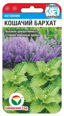 Котовник Кошачий бархат (сс) 0,5гр