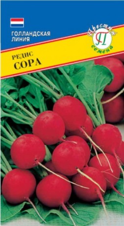 Редис Сора (пр)