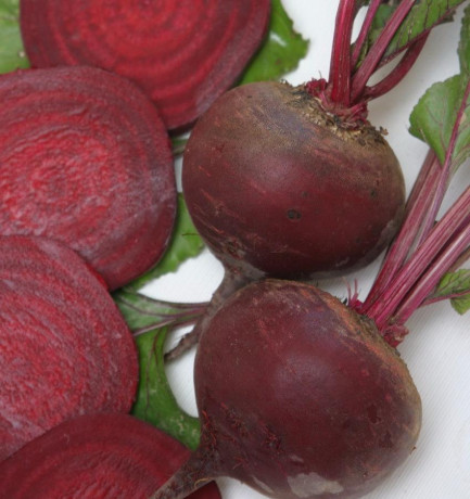 Свекла Бордо 237 (НК) 3,0гр