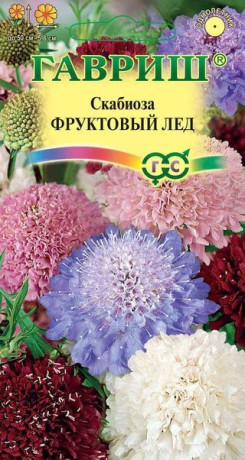 Скабиоза Фруктовый лед (гавриш) 0,2гр