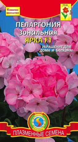 Пеларгония Ярка F1 (п) 3шт