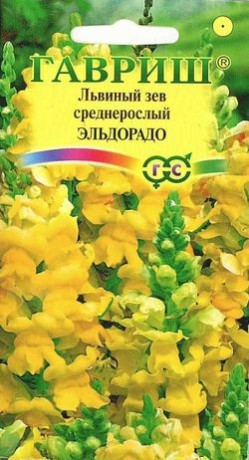 Антирринум (львиный зев) Эльдорадо (гавриш) 0,05 гр