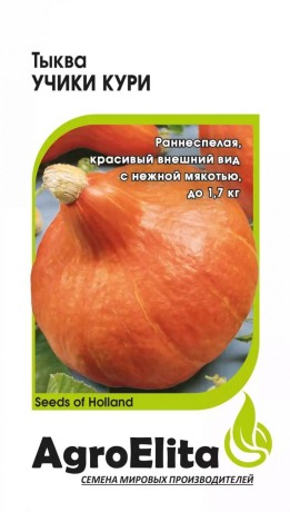 Тыква Учики кури (агроэлита) 3шт