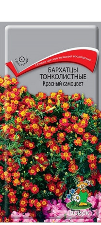 Бархатцы тонколистные Красный самоцвет (поиск) 0,1г