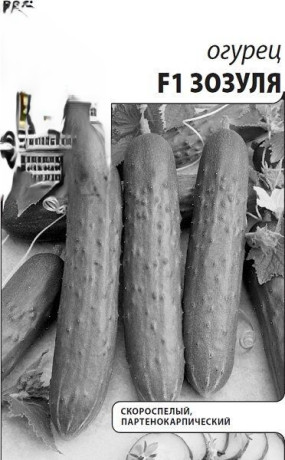 Огурец Зозуля б/п (поиск) 0,5гр