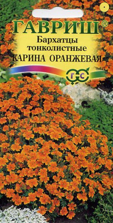 Бархатцы тонколистные Карина Оранжевая (гавриш) 0,05 гр