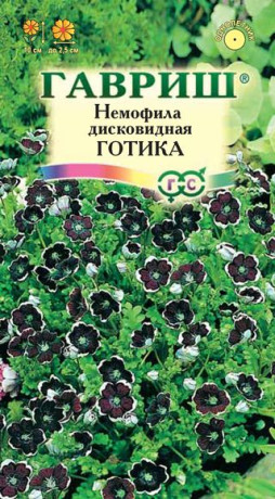 Немофила Готика (гавриш) 0,2 гр