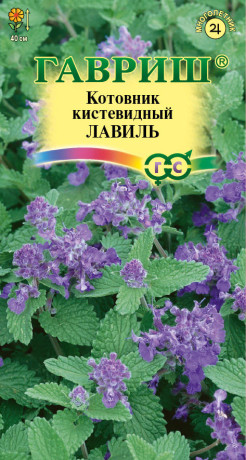 Котовник кистевидный Лавиль (г) 0,03гр