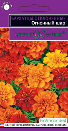 Бархатцы Огненный шар (гавриш) 5 шт